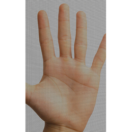 Mosquitera para puertas, 100x220 cm, negra