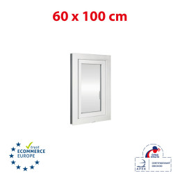 Plastic window 60x100 cm (600x1000 mm), tilt-and-turn right, white | TROCAL